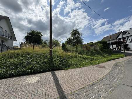 Grundstücksansicht - Grundstück in 56759 Eppenberg mit 3423m² kaufen