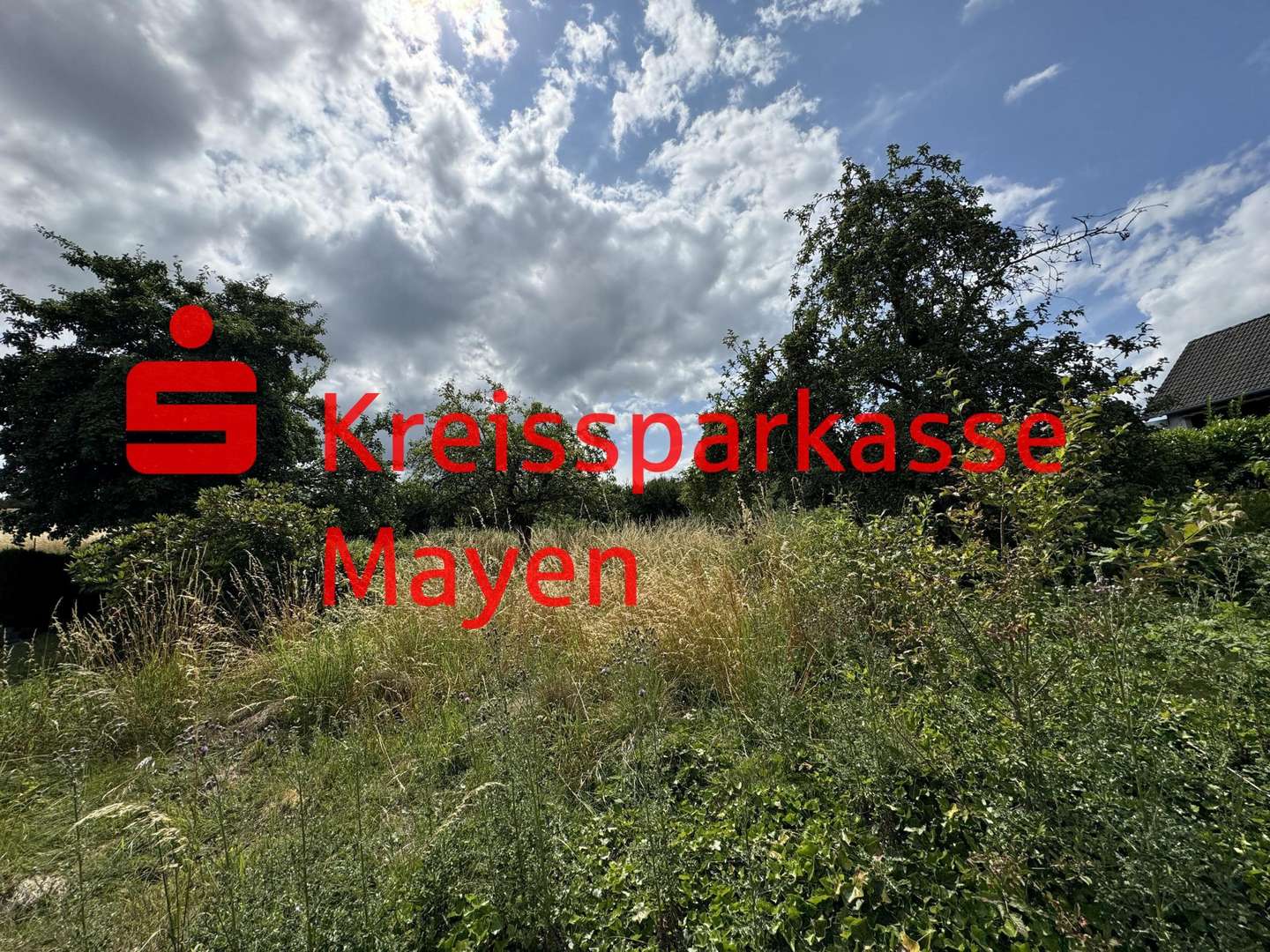 Grundstücksansicht - Grundstück in 56759 Eppenberg mit 3423m² kaufen