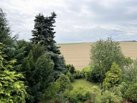 Blick Balkon Blick Balkon - Einfamilienhaus in 56727 Mayen mit 152m² kaufen