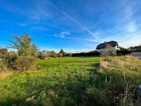 Außenansicht - Grundstück in 56729 Ditscheid mit 1191m² kaufen