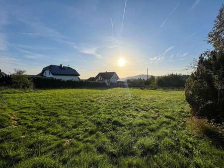 Außenansicht - Grundstück in 56729 Ditscheid mit 1191m² kaufen