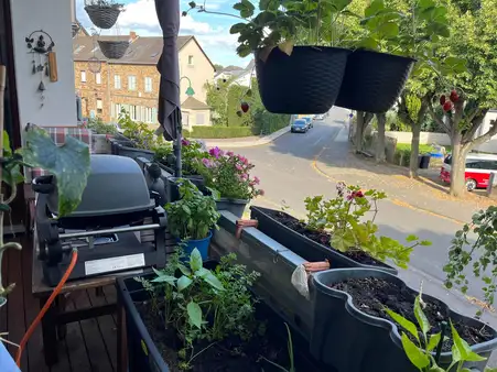 Vermietete Wohnung in begehrter Lage