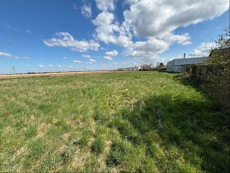 null - Mehrfamilienhaus in 53881 Euskirchen mit 127m² kaufen