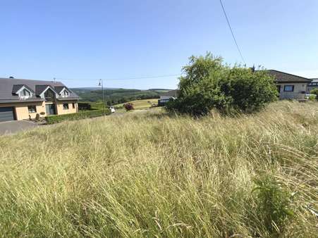Grundstück - Grundstück in 54316 Lampaden mit 820m² kaufen