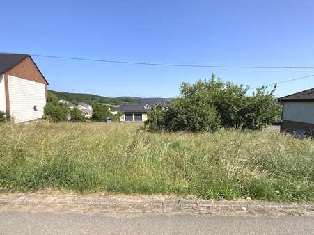 Grundstück - Grundstück in 54316 Lampaden mit 820m² kaufen