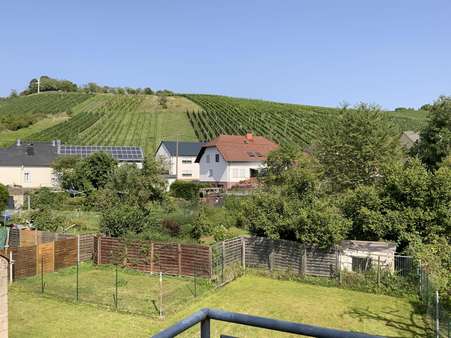 Aussicht vom Balkon auf die Weinberge Aussicht vom Balkon auf die Weinberge - Reihenmittelhaus in 54459 Wiltingen mit 151m² kaufen