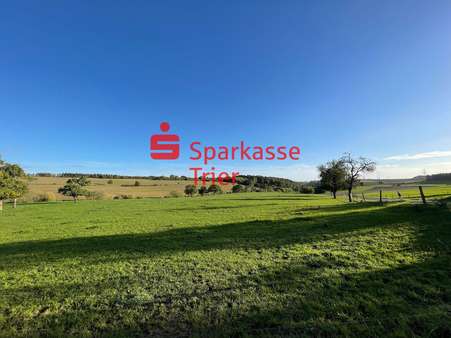 Wohngebiet Rotherd - Grundstück in 54309 Newel mit 316m² kaufen