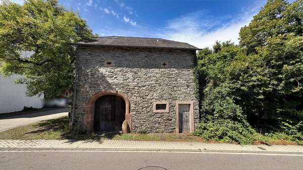 Ansicht Vorne Ansicht Vorne - Grundstück in 54441 Ayl mit 569m² kaufen