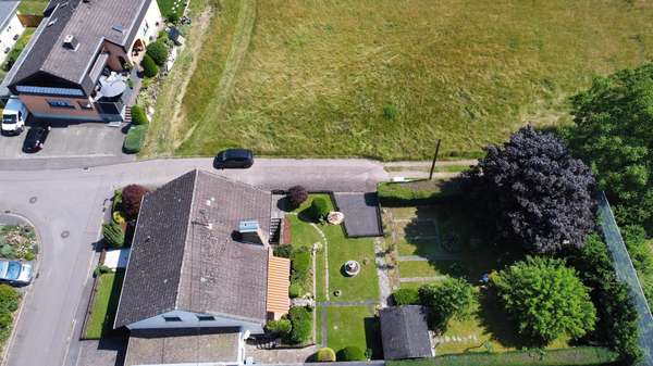 Ansicht Oben Ansicht Oben - Einfamilienhaus in 54441 Schoden mit 130m² kaufen