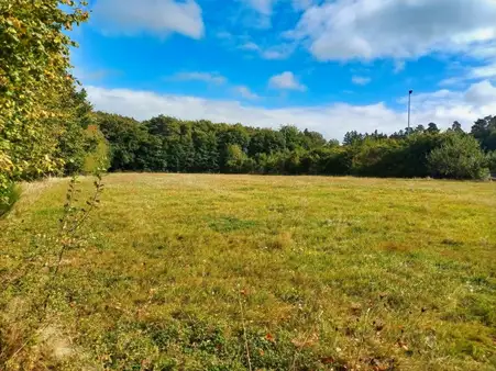 Attraktive Baugrundstücke in Ortsrandlage