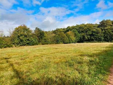 null - Grundstück in 54662 Herforst mit 400m² kaufen