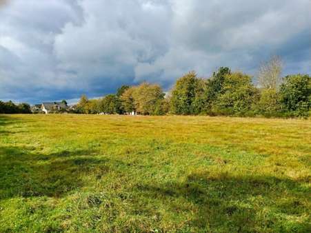 null - Grundstück in 54662 Herforst mit 400m² kaufen