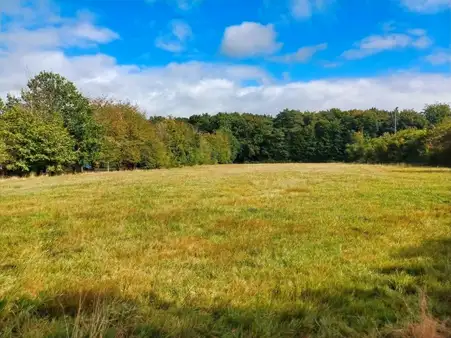 Attraktive Baugrundstücke in Ortsrandlage