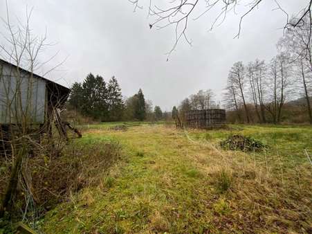landwirtschaftliche Fläche - Bauernhaus in 54608 Sellerich mit 123m² kaufen