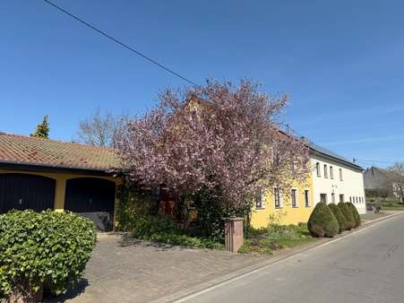 Strassenansicht - Zweifamilienhaus in 54597 Gesotz, Gem Hargarten mit 288m² kaufen