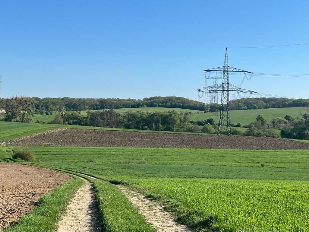 4668-M-1 - Grundstück in 54636 Messerich mit 10961m² kaufen