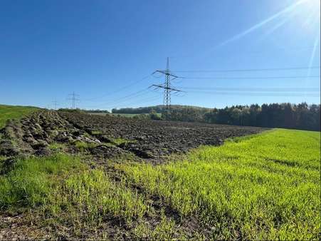 4668-M-2 - Grundstück in 54636 Messerich mit 10961m² kaufen