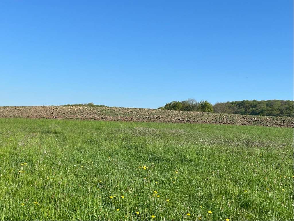 4668-BHH-2 4668-BHH-2 - Grundstück in 54634 Birtlingen mit 93868m² kaufen