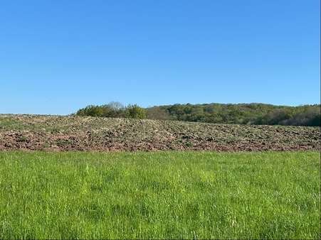 4668-BHH-3 4668-BHH-3 - Grundstück in 54634 Birtlingen mit 93868m² kaufen