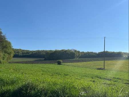 4668-BIJ-2 - Grundstück in 54634 Birtlingen mit 22611m² kaufen