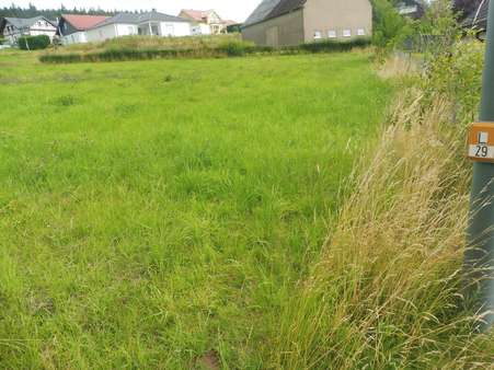 Grundstücksansicht Grundstücksansicht - Grundstück in 54570 Salm mit 1363m² kaufen