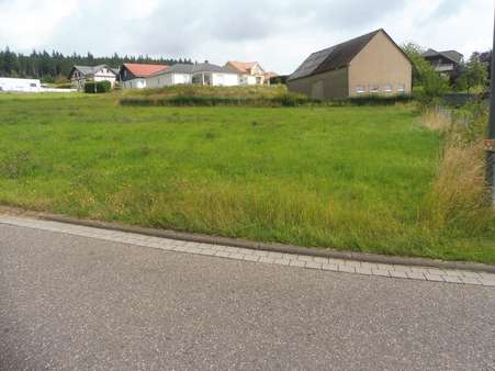 Straßenansicht Straßenansicht - Grundstück in 54570 Salm mit 1363m² kaufen