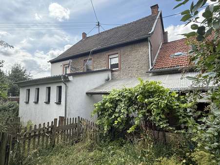 Gebäuderückseite mit kleinem Garten - Einfamilienhaus in 54570 Hinterweiler mit 161m² kaufen