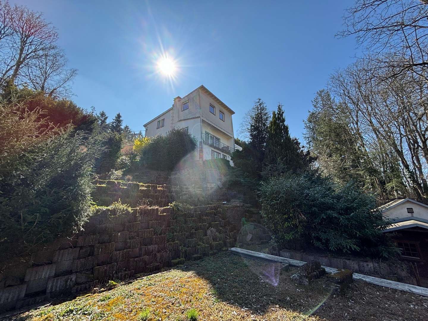 Haus Vorderseite - Einfamilienhaus in 54295 Trier mit 248m² kaufen