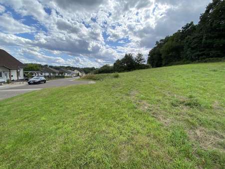 null - Grundstück in 54526 Landscheid mit 723m² kaufen
