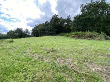 null - Grundstück in 54526 Landscheid mit 723m² kaufen