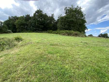 null - Grundstück in 54526 Landscheid mit 723m² kaufen