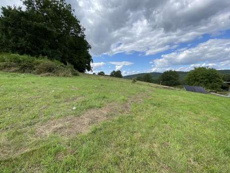 null - Grundstück in 54526 Landscheid mit 723m² kaufen