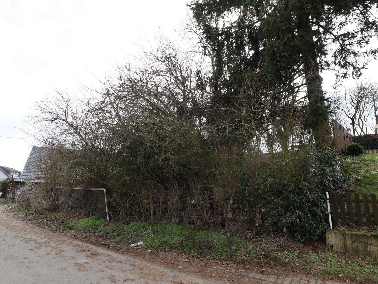 null - Grundstück in 56823 Büchel mit 433m² kaufen