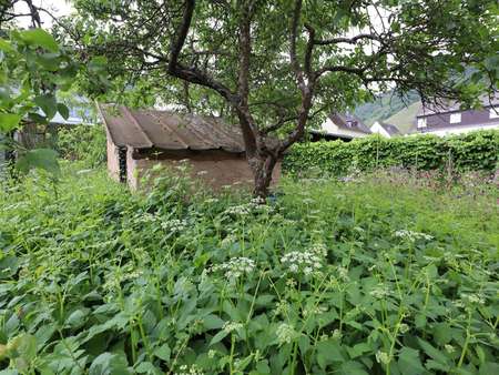 Garten - Reihenendhaus in 56814 Bremm mit 146m² kaufen