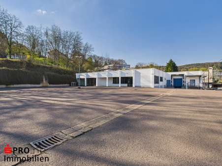Außenansicht - Sonstige in 66693 Mettlach mit 1150m² kaufen