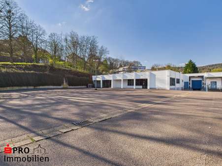 Außenansicht - Sonstige in 66693 Mettlach mit 1150m² kaufen