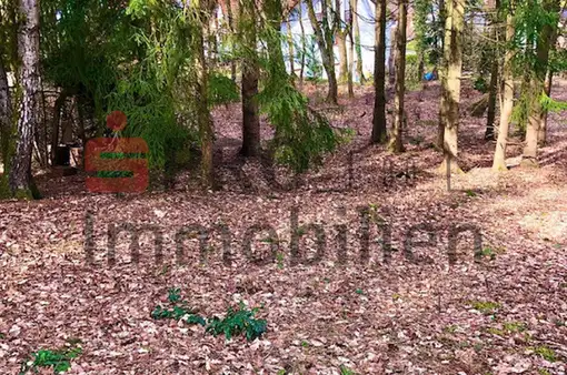 Attraktives Baugrundstück in ruhiger Lage