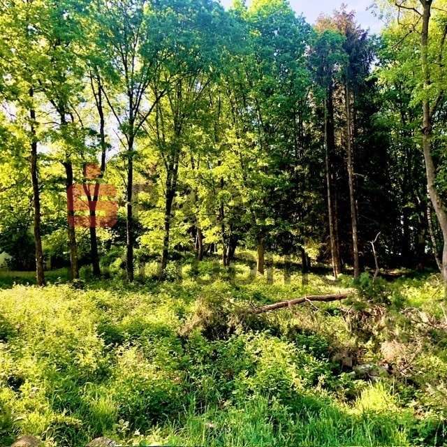 Baugrundstück Baugrundstück - Grundstück in 66539 Neunkirchen mit 2128m² kaufen