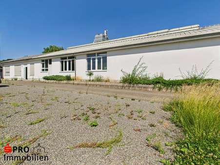 Frontansicht - Produktion in 66453 Gersheim mit 2947m² kaufen
