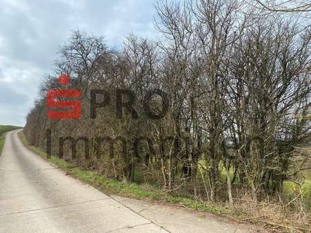 Grundstück Grundstück - Grundstück in 66440 Blieskastel mit 14899m² kaufen