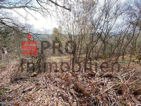 Grundstück Grundstück - Grundstück in 66440 Blieskastel mit 14899m² kaufen