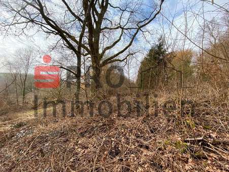 Grundstück Grundstück - Grundstück in 66440 Blieskastel mit 14899m² kaufen