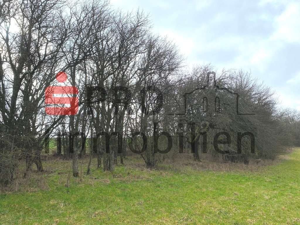 Grundstück Grundstück - Grundstück in 66440 Blieskastel mit 14899m² kaufen