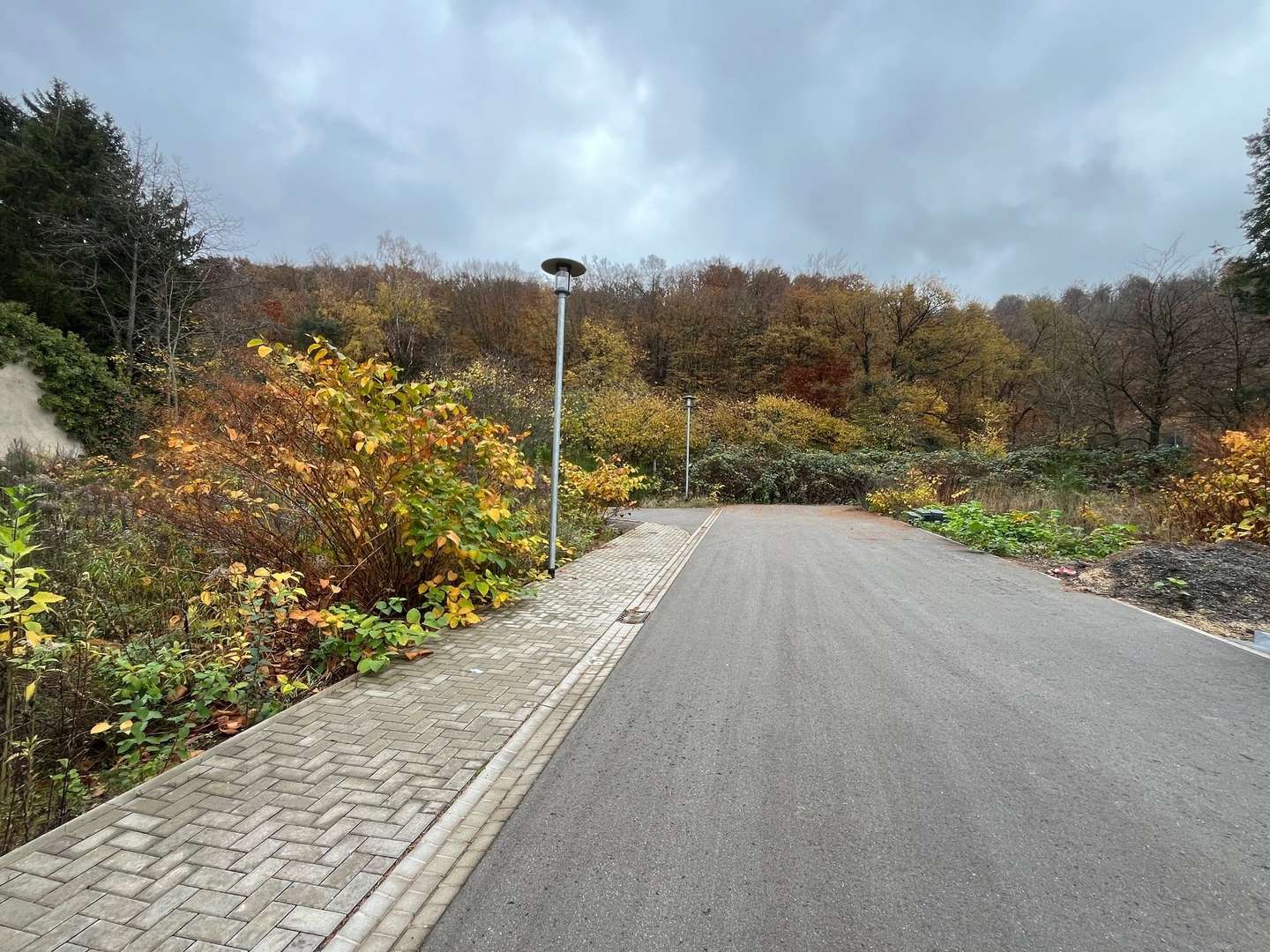 Zufahrt - Grundstück in 66386 St. Ingbert mit 365m² kaufen