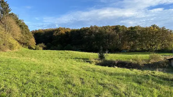 Ihre Zukunft in ruhiger und stadtnaher Wohnlage - Urweiler