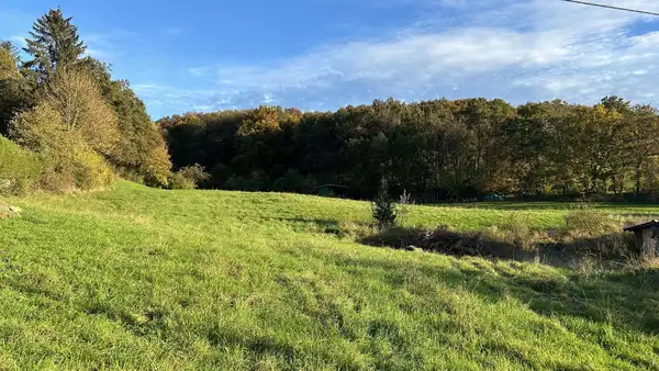 Ihre Zukunft in ruhiger und stadtnaher Wohnlage - Urweiler