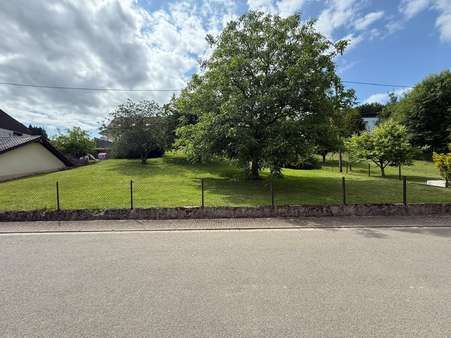 Frontansicht Frontansicht - Grundstück in 66646 Marpingen mit 656m² kaufen