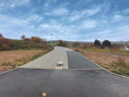 Teilansicht Teilansicht - Grundstück in 66606 St. Wendel mit 517m² kaufen