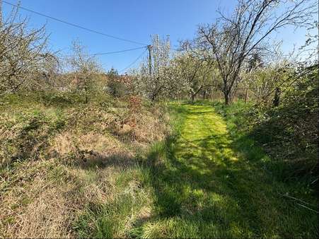 Photo-14 - Grundstück in 66578 Schiffweiler mit 5961m² kaufen