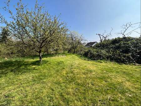 Photo-15 - Grundstück in 66578 Schiffweiler mit 5961m² kaufen